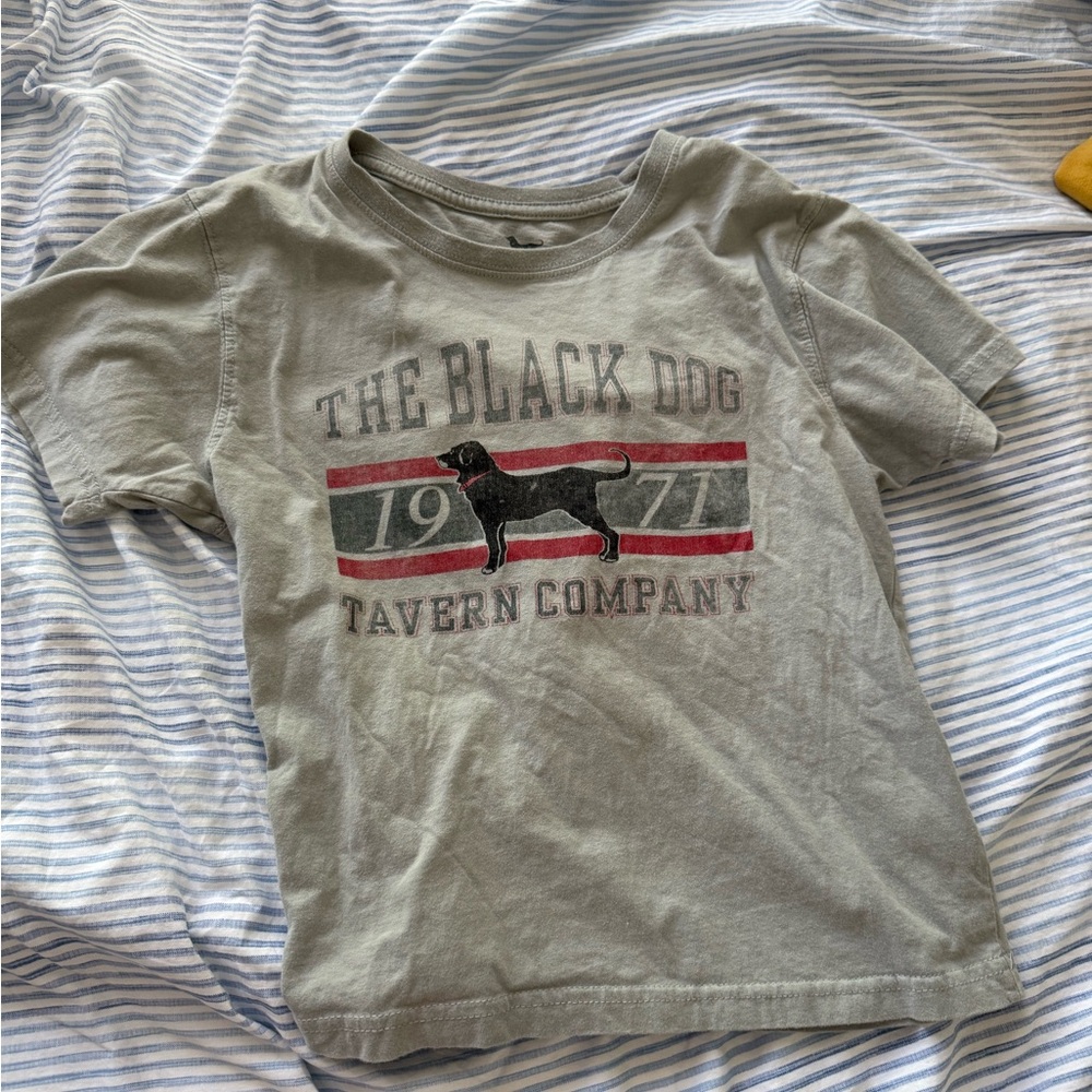 The Black Dog Kids T-Shirt in Gray with Logo
